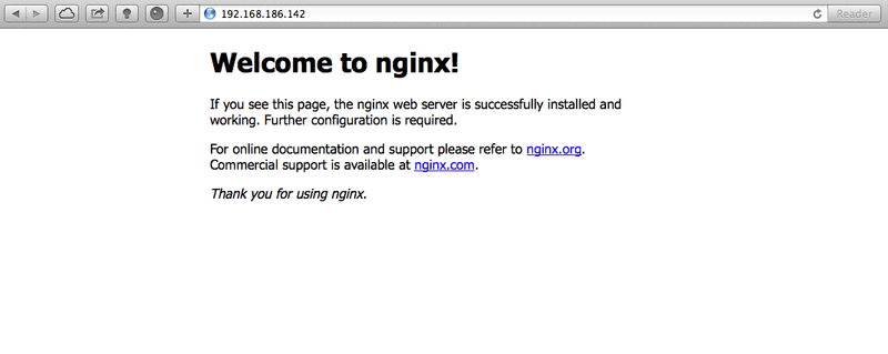nginx default welcome pagea nginx welcome page