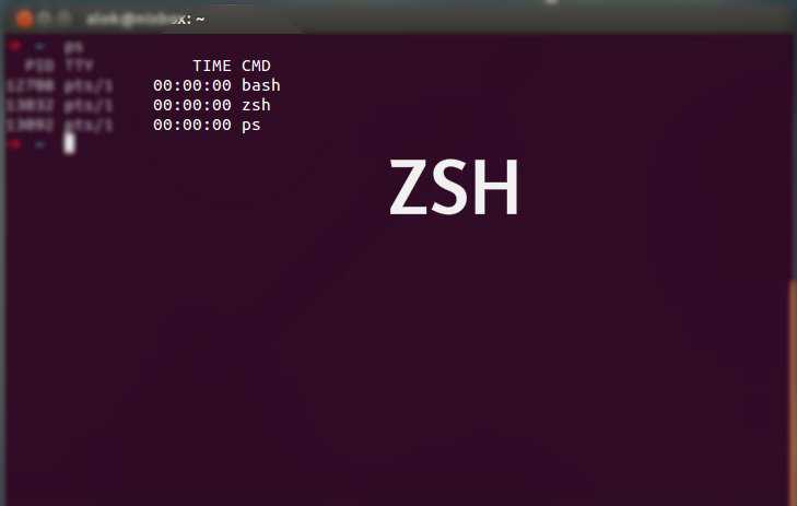 zsh