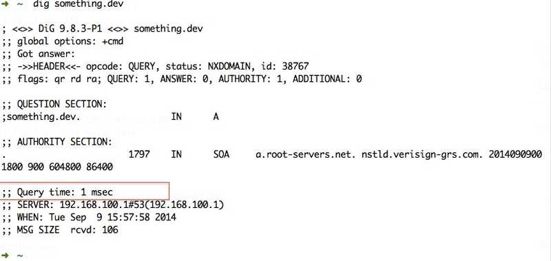 dnsmasq local dns setup