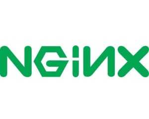 nginx logo