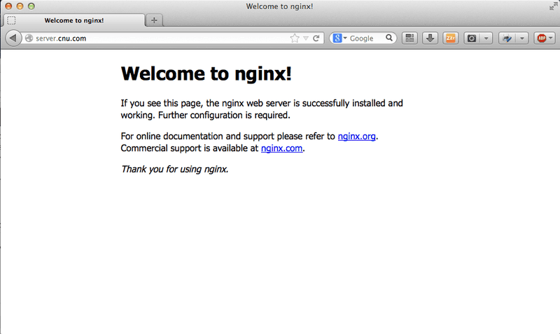 Nginx Default Page