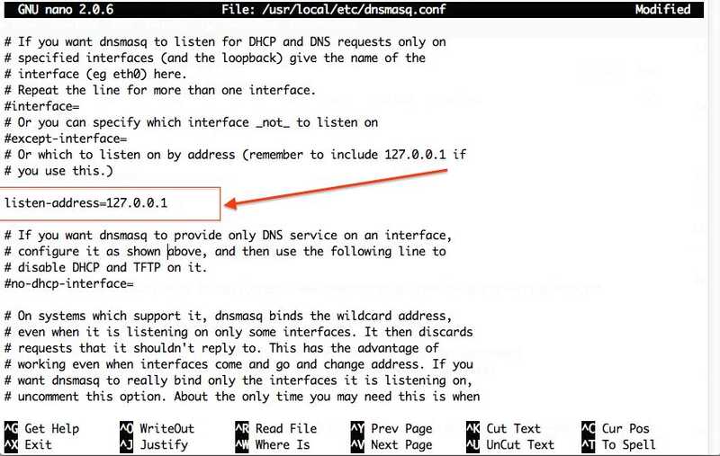 local_dnsmasq_listen_Address